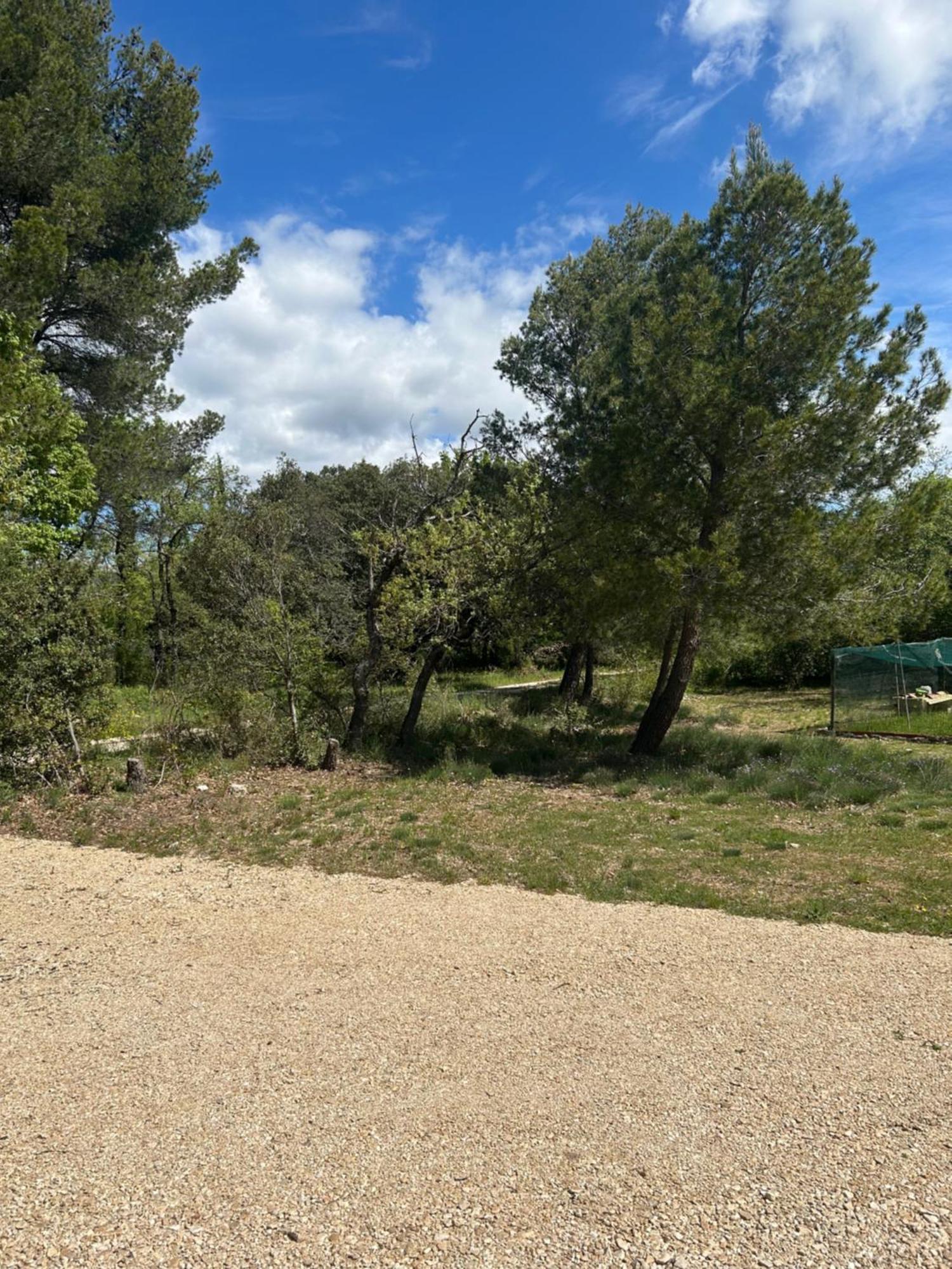 Lavande Luberon Saint-Saturnin-lès-Apt